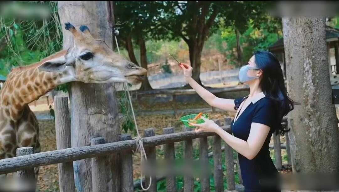 apple姐姐-夏日游玩受伤，男友帮消毒