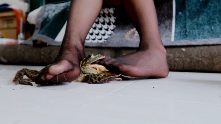 102651cxfxqfqrfxqrfwqx