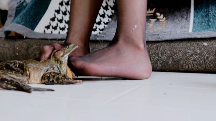 102656cb266622fzssufux