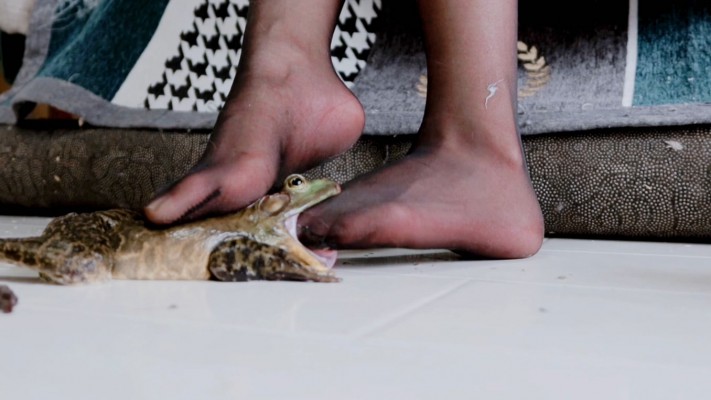 102657doaf4ianz01k0uhu