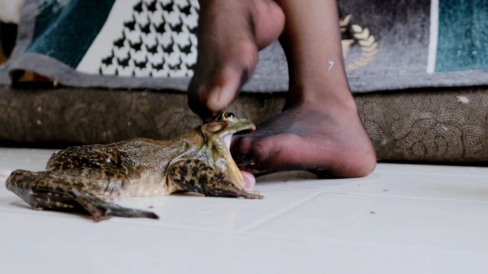 102658dl3b03icxb0hz94l