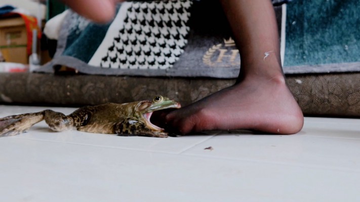 102701ipmtcqxccxcxmpxf