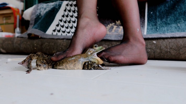 102707t7jp7s7pctptpjtj