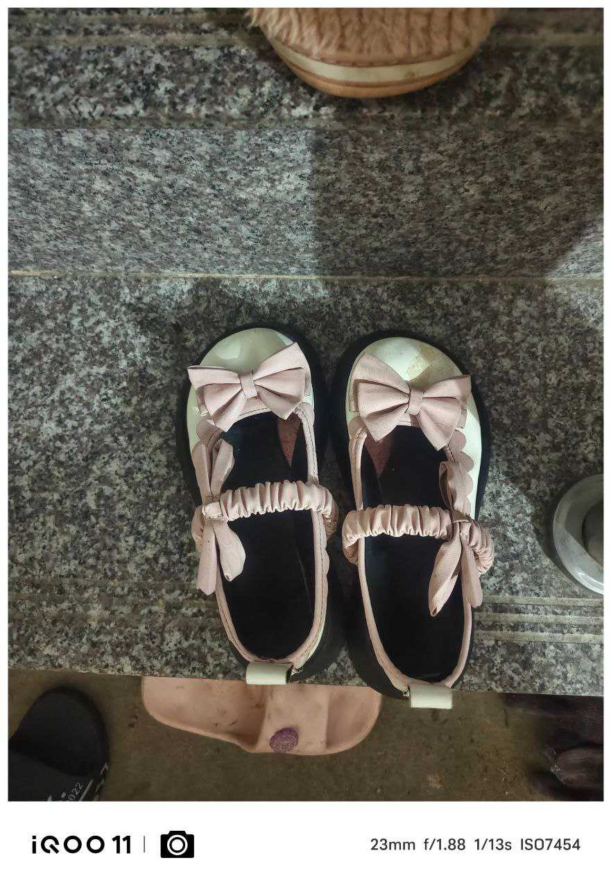 231605lqnvnkbtqbsn7cxl