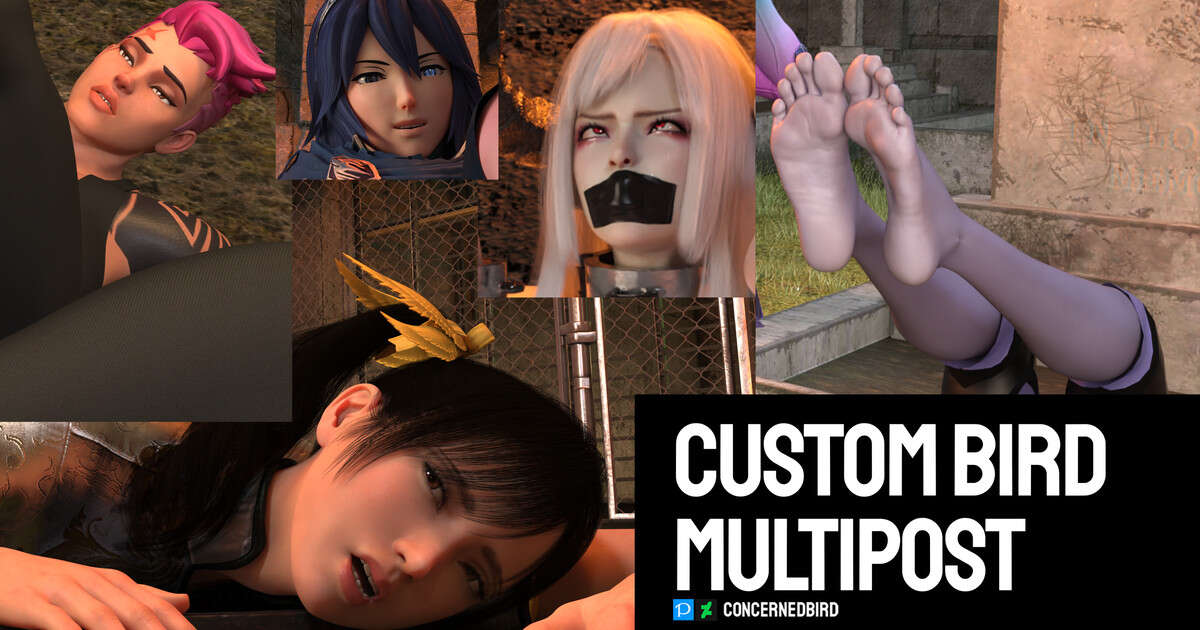 concernedbird 7.11~12.27赞助图集