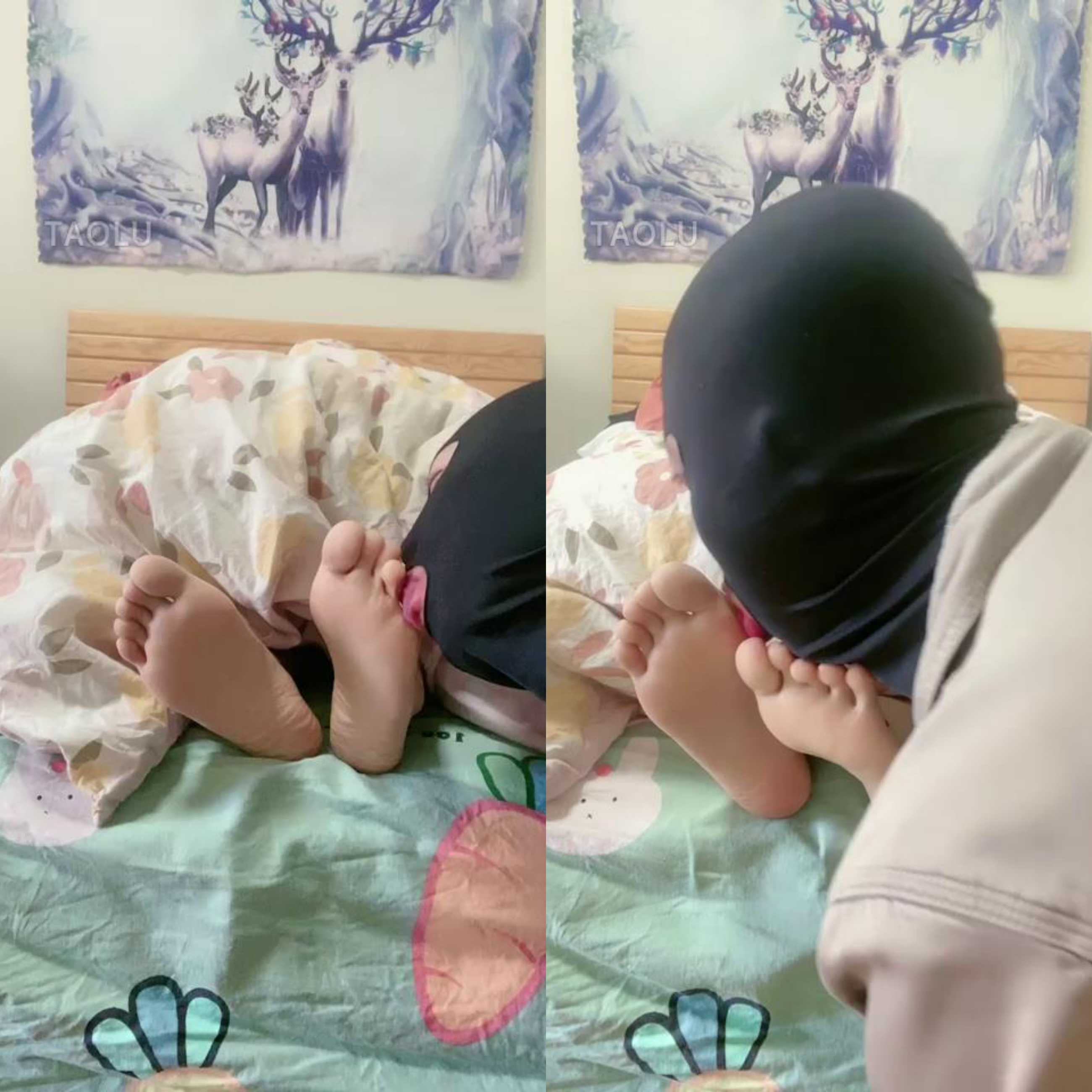 235433jn8ifx5ihomzgk8n