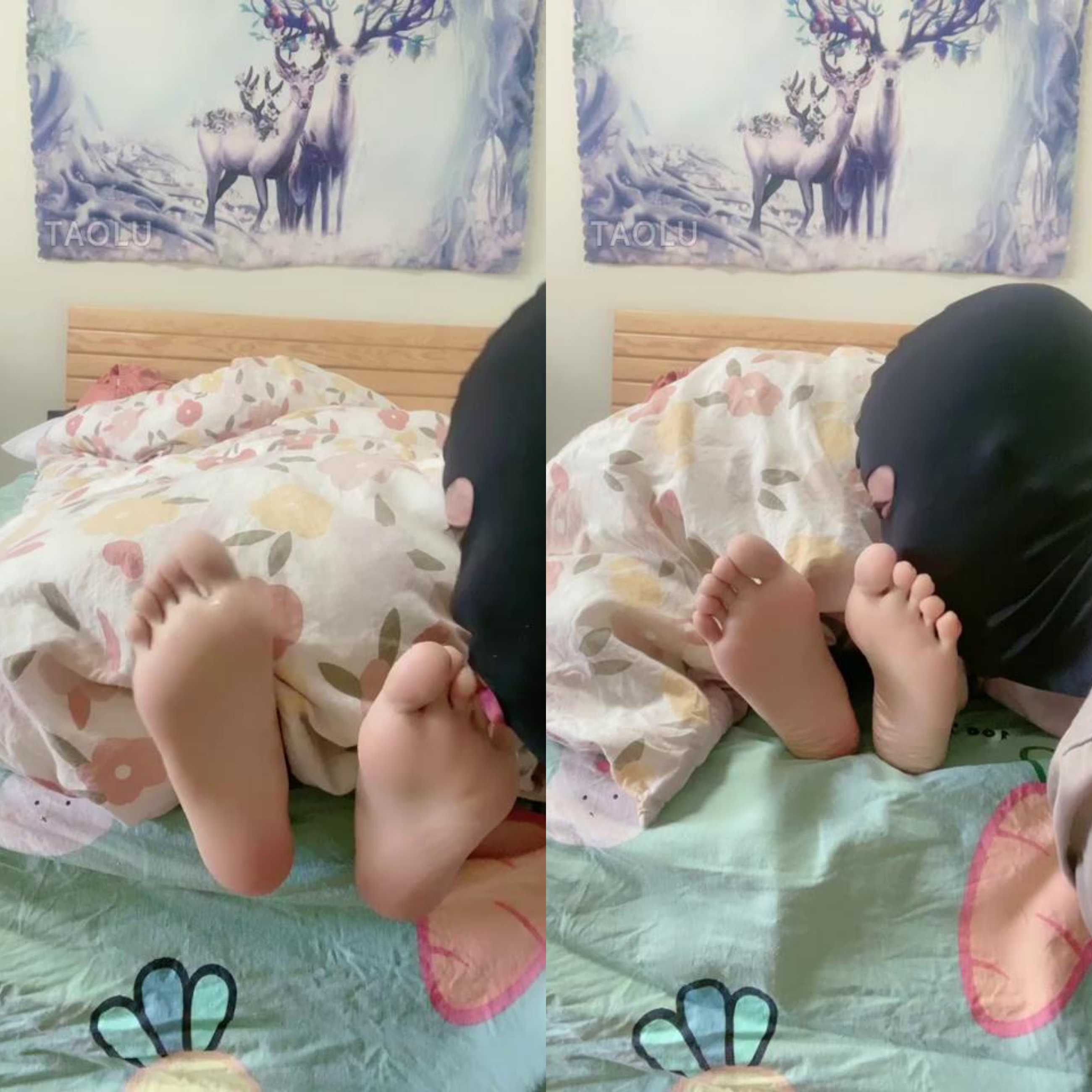 235435v5dumfcuzo0be9jo