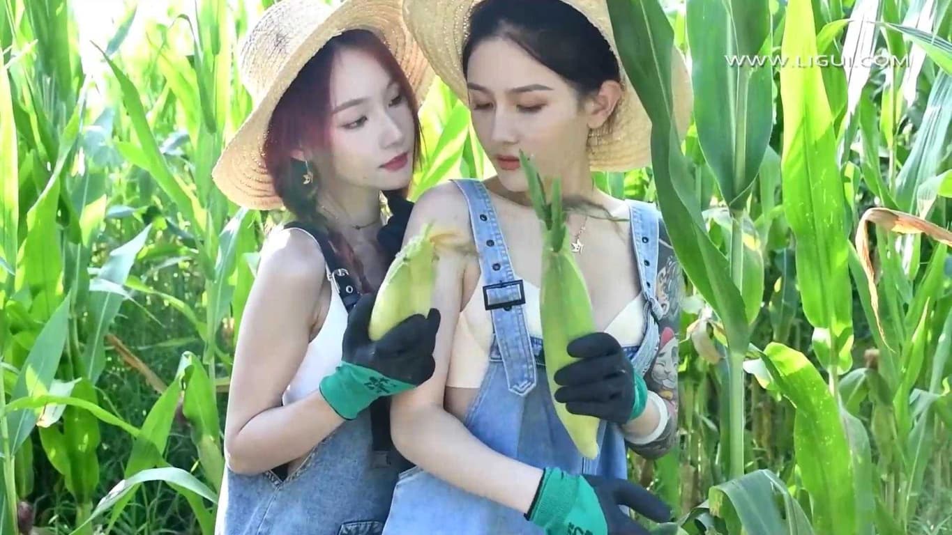 丽柜—田园春色